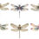 Thumbnail: Vintage Dragonfly Clipart Images 12 Instant Download