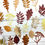 Thumbnail: Die Cuts Leaves 14 Pieces *You Choose Color* Foil Mirror Glitter Specialty Basic