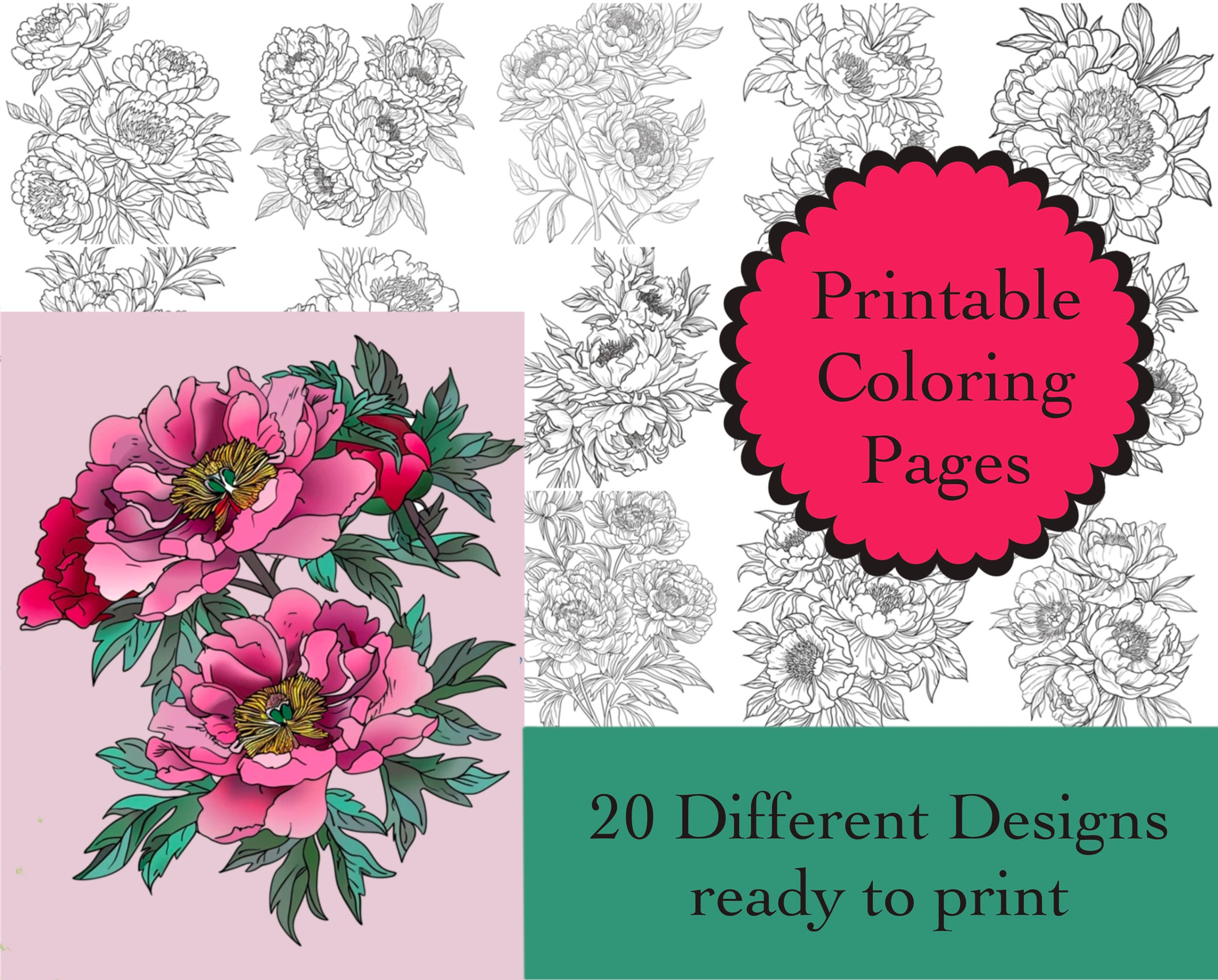 Peony Flowers Coloring Book 20 Coloring Pages Instant Download