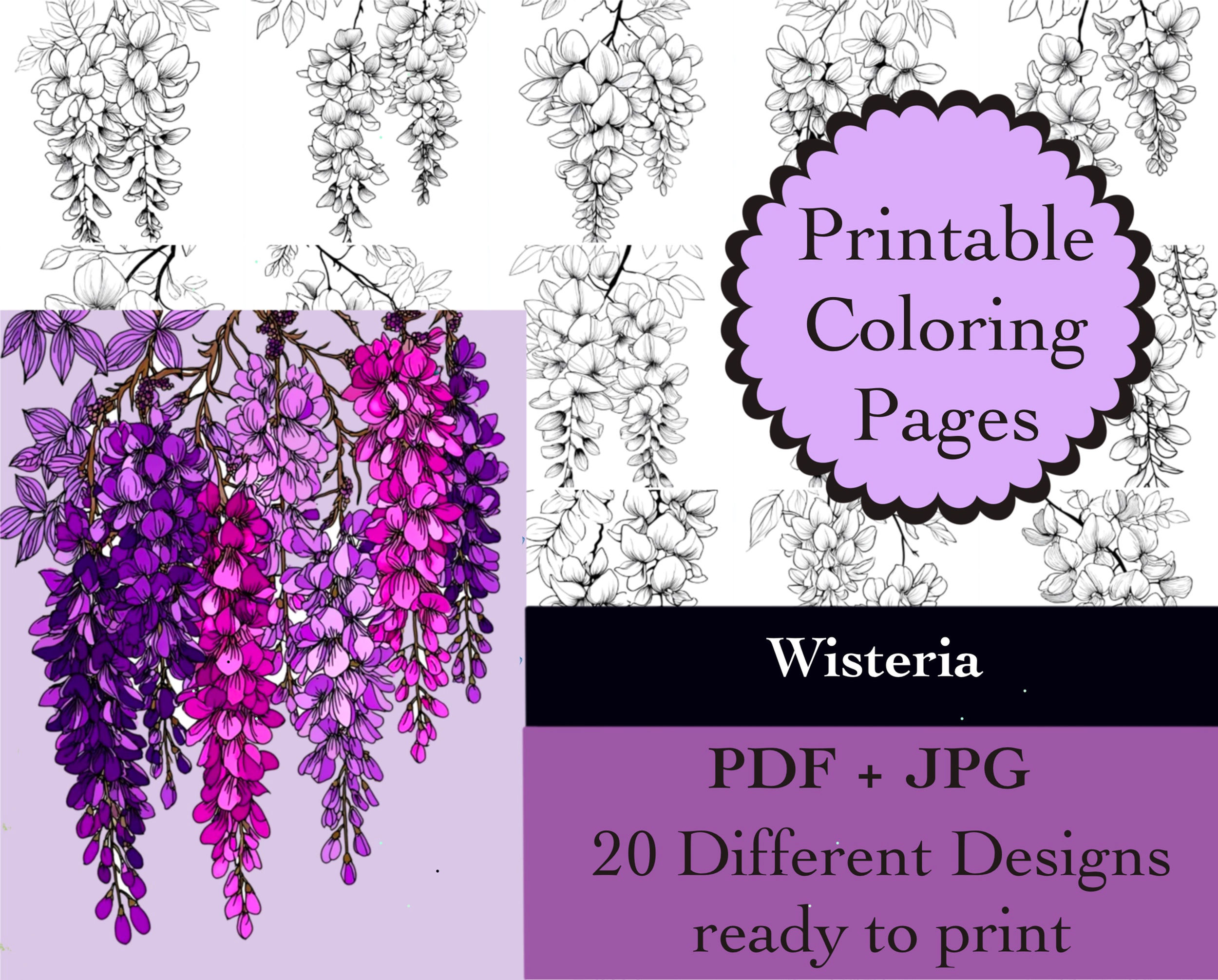 Wisteria Coloring Book 20 Pages Instant Download
