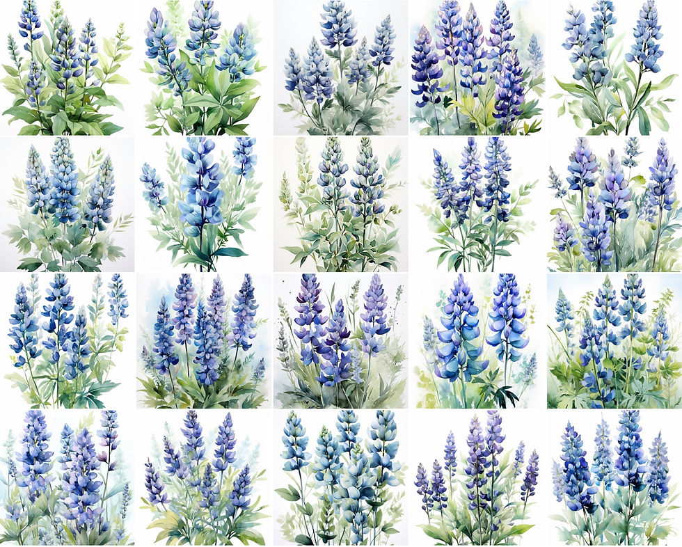 Thumbnail: Lupines Clipart Images 20 Instant Download