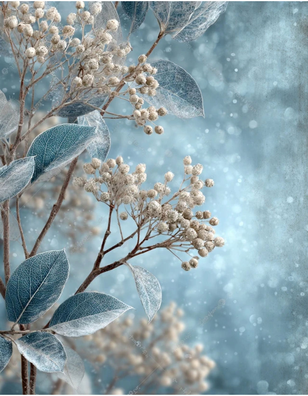 Thumbnail: Wintery Backgrounds 20 Designs Instant DownloaD
