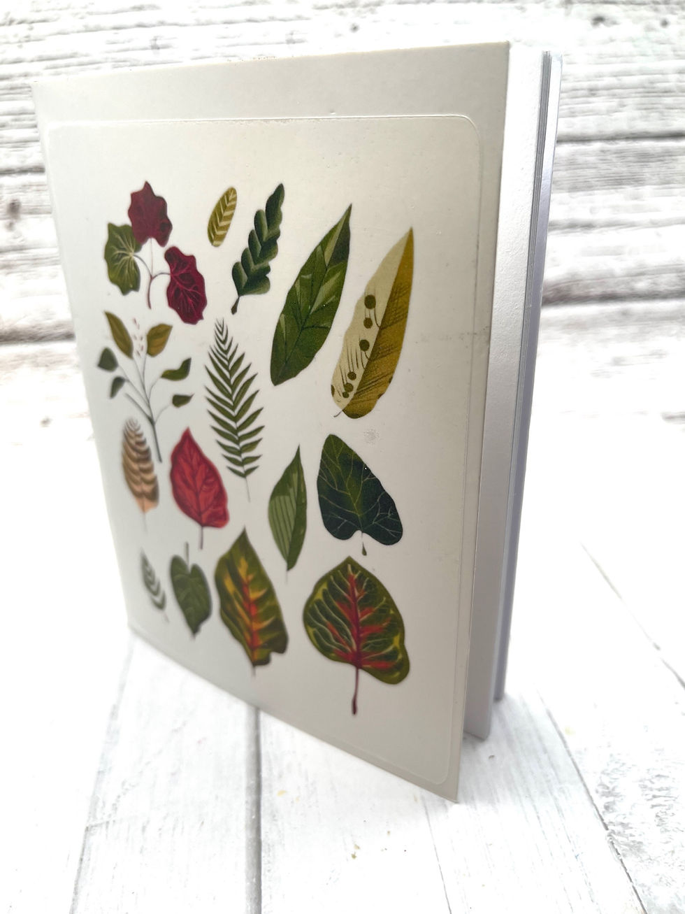 Thumbnail: Cute Mini Exotic Leaves 5 inch Set of 2 Blank Notebook Plants Notebook