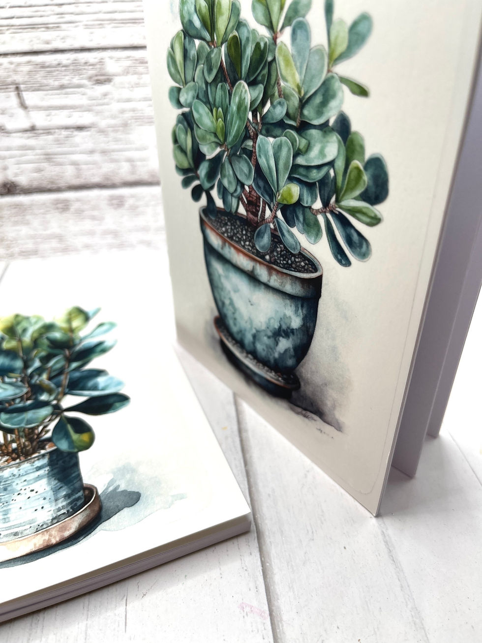 Thumbnail: Cute Mini House Plant 5 inch Set of 2 Blank Notebook Plants Notebook