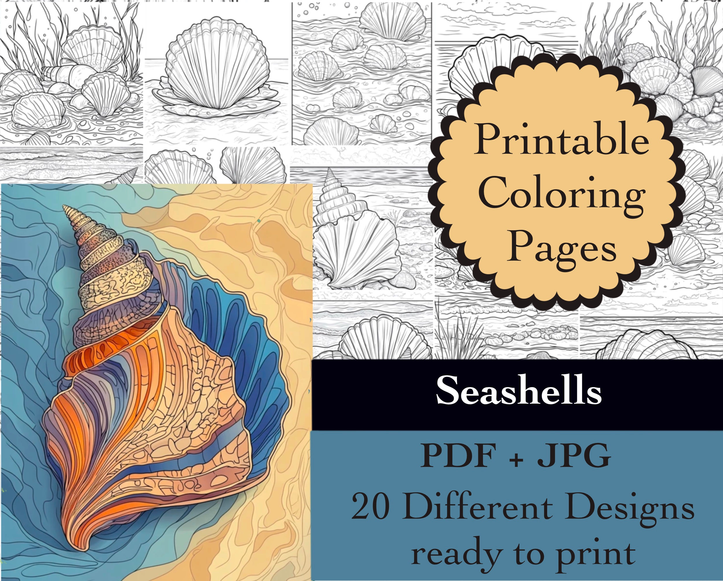 Seashells Coloring Book 20 Pages Instant Download