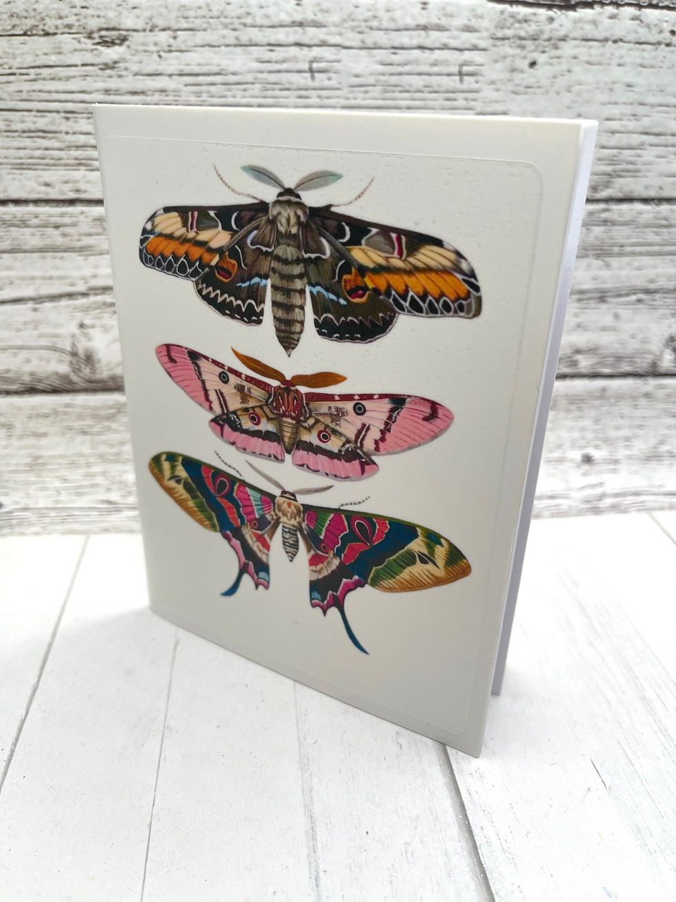 Thumbnail: Cute Mini Vintage Moths 5 inch Set of 2 Blank Notebook Plants Notebook