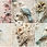 Thumbnail: Vintage 3D Birds Backgrounds Images 20 Instant Download