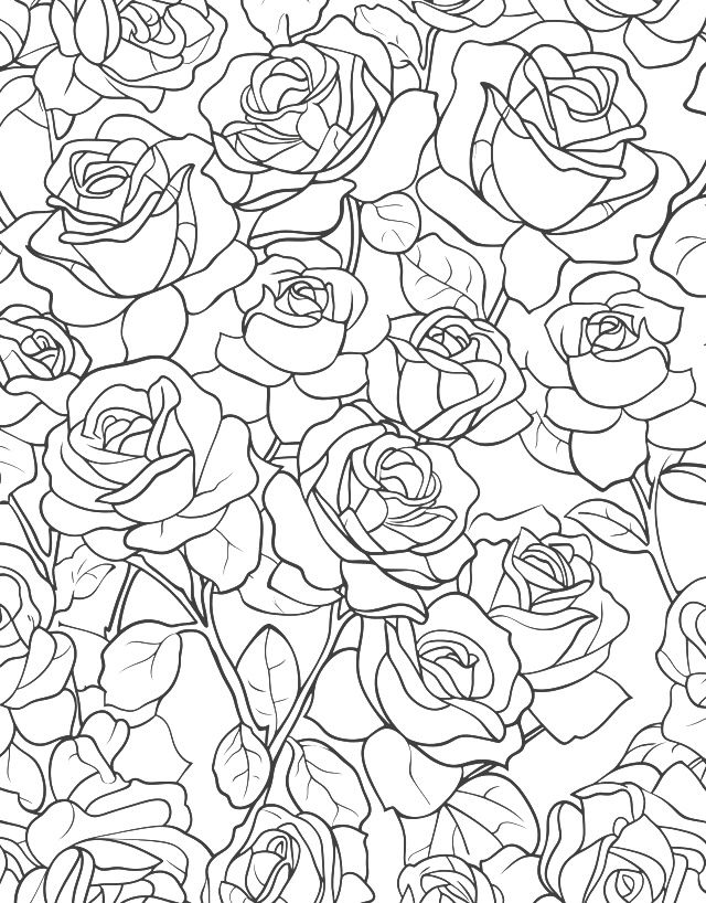 Thumbnail: Rose Flowers BackgroundColoring Book 20 Coloring Pages Instant DownloaLilac