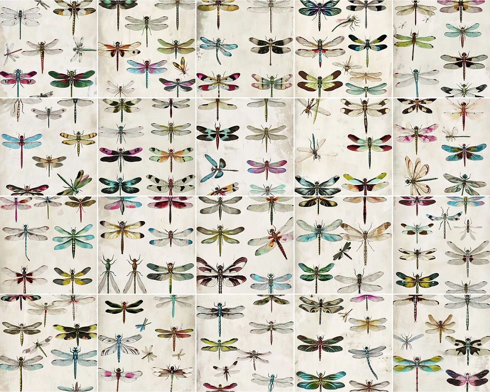 Thumbnail: Dragonfly Clipart 20 Designs Instant Download Digital Image