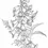 Thumbnail: Foxglove Flowers Coloring Book 20 Coloring Pages Instant DownloaLilac