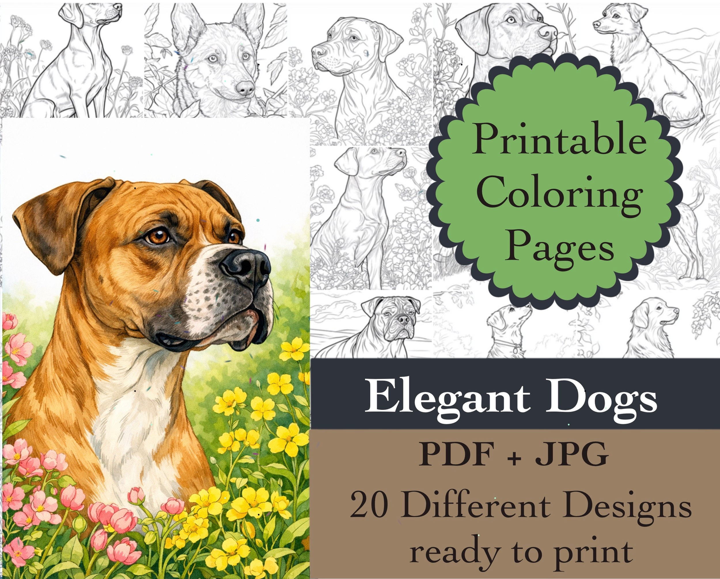Elegant Dogs Coloring Book 20 Coloring Pages Instant Download