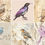 Thumbnail: Vintage Birds Images 20 Instant Download Opalescen