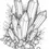Thumbnail: Crystals Coloring Book 20 Pages Instant Download