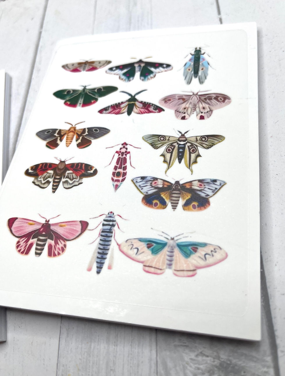 Thumbnail: Cute Mini Vintage Moths 5 inch Set of 2 Blank Notebook Plants Notebook