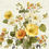 Thumbnail: Statement Florals Meadow Images 12 Sheets Instant Download Designs Junk Ephemera