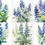 Thumbnail: Lupines Clipart Images 20 Instant Download