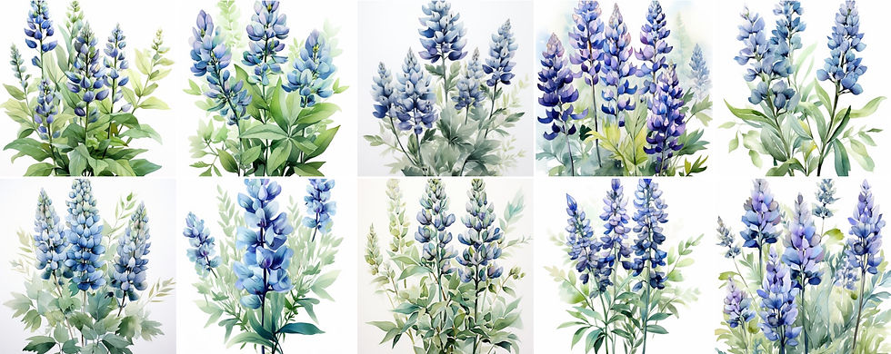 Thumbnail: Lupines Clipart Images 20 Instant Download