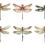 Thumbnail: Vintage Dragonfly Clipart Images 12 Instant Download