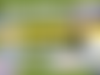 REPRISE JEUDI 6 AOUT à BOUXIERES !