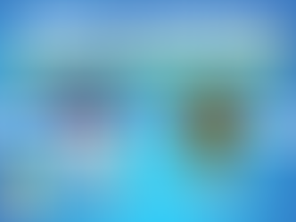 ASLB - ASVSN : 2 divisions d'écart !