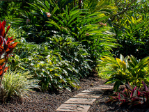 Black cinder looks excellent under walkway pavers.