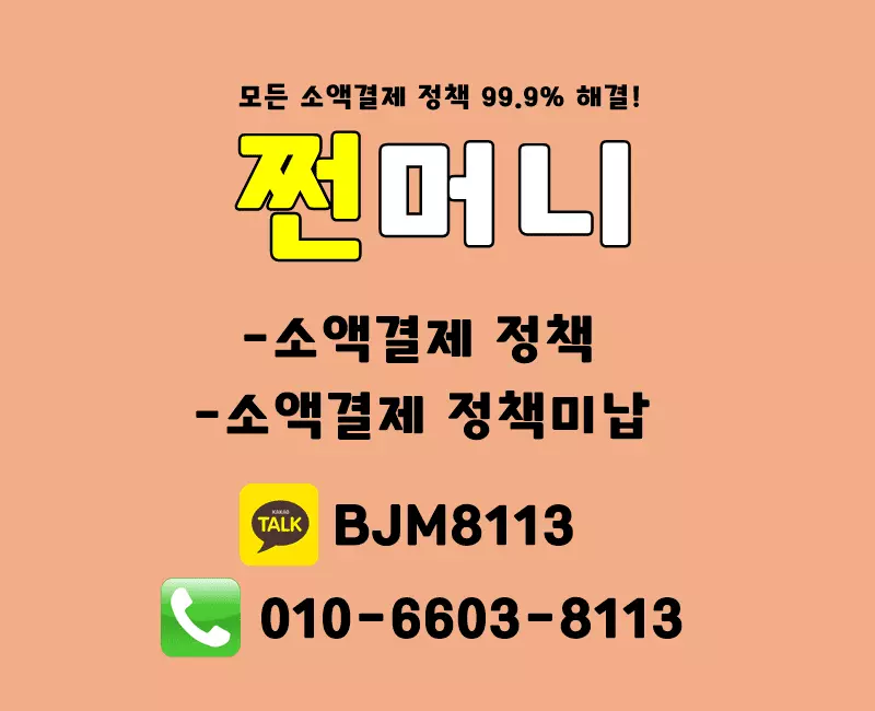 소액결제 정책 - 쩐머니.webp