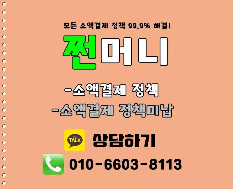 소액결제정책