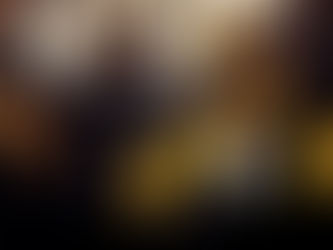 🍂 What to Drink This Autumn: Our Curated Wine Picks for the Season