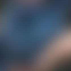 🪵 Burgundy’s Naturalist Star: The Legacy of Domaine Arlaud