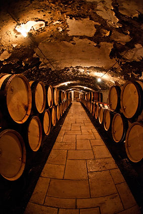 Dimly lit wine cellar with rows of wooden barrels lining both sides of a stone walkway, featuring a rustic, aged ceiling.