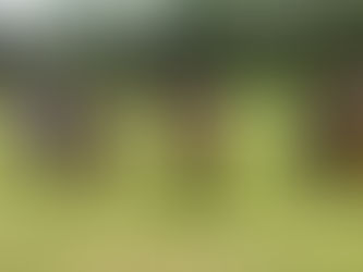 Seminārs: Galamērķa mārketings un tēla veidošana