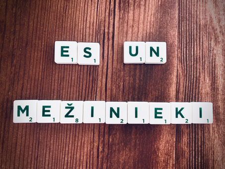Lielā iedzīvotāju aptauja