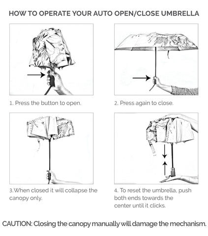 Thumbnail: UMBRELLA