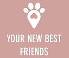 your new best friends.jpg