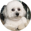 unnamed (2).png