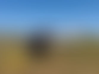 Thank you Sun'n Fun 2026