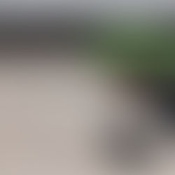 【DOMANI】New Collection Vol.4「NUUK」