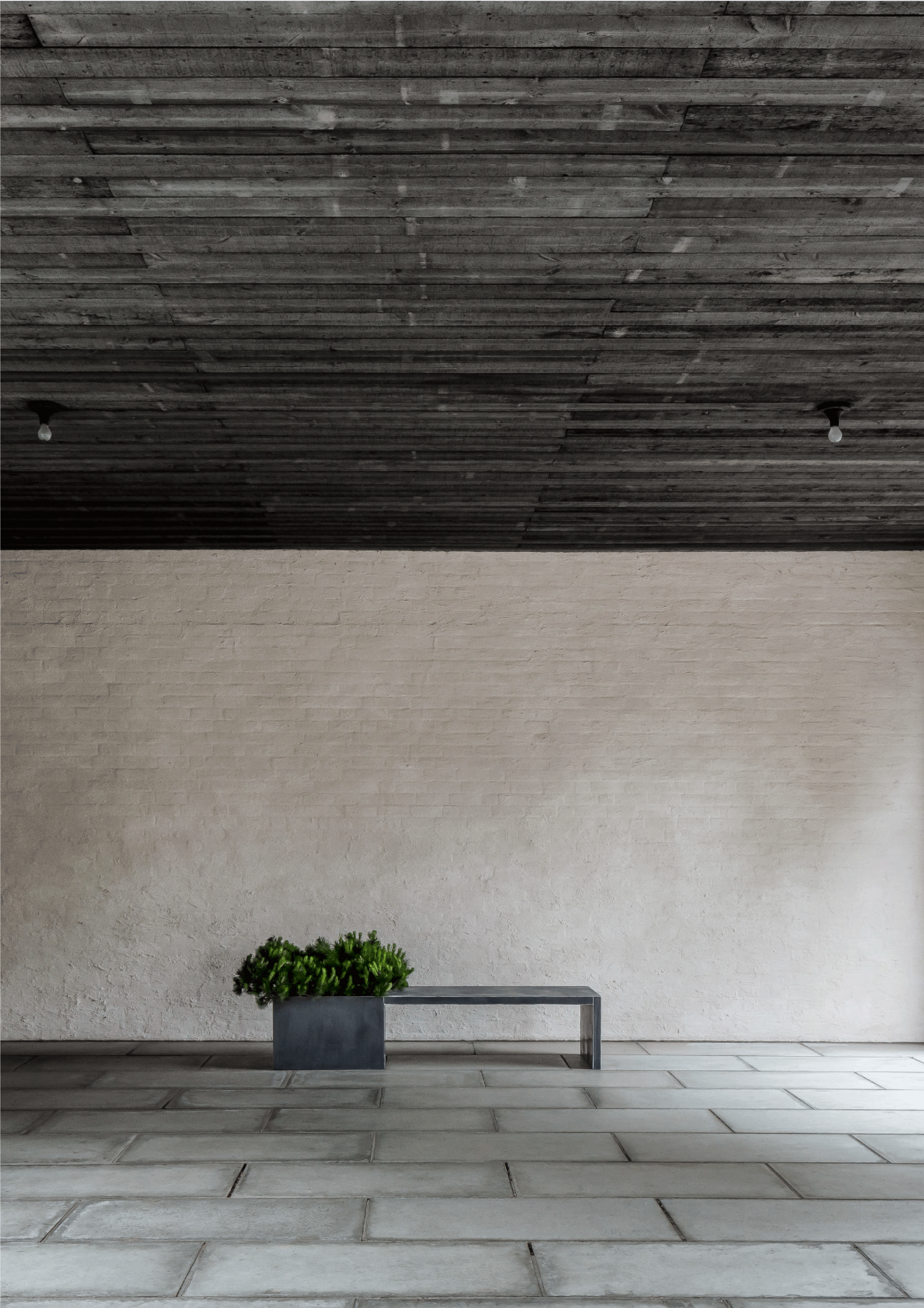 cdw.gif