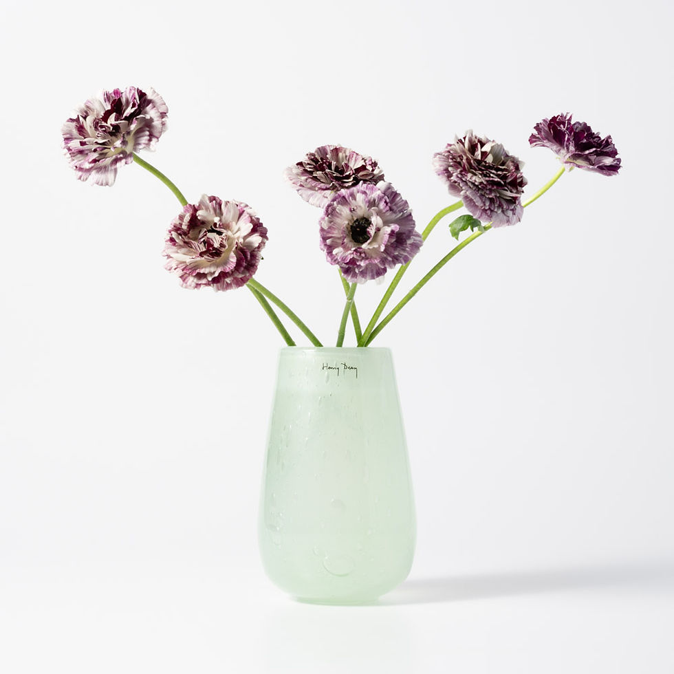 Stromboli XS ミント