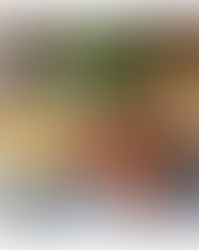 EVENTのお知らせ【DOMANI】