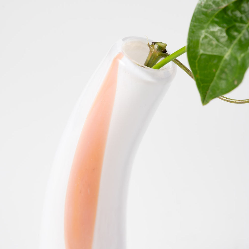 Grass S ピンクステイン