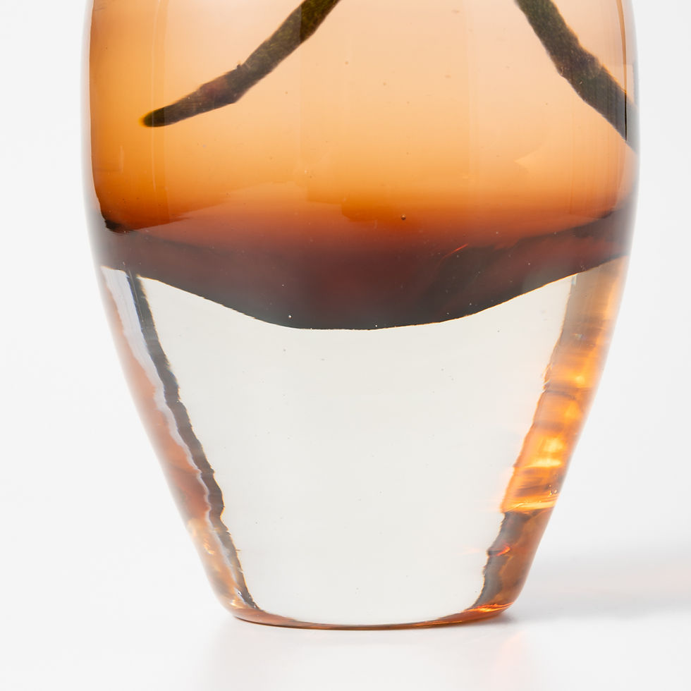 Jerzy S モーブグロウ