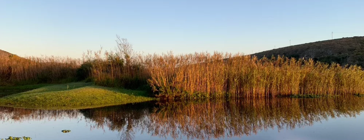 Screenshot 2021-09-17 at 17-09-39 Accomodation Tides Lodge Breede River.png