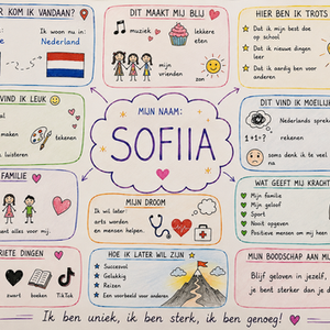 Rise by Mindset op scholen