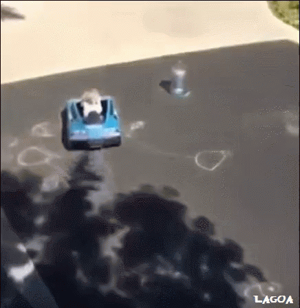 Crazy driver