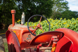 Grandpa's Tractor