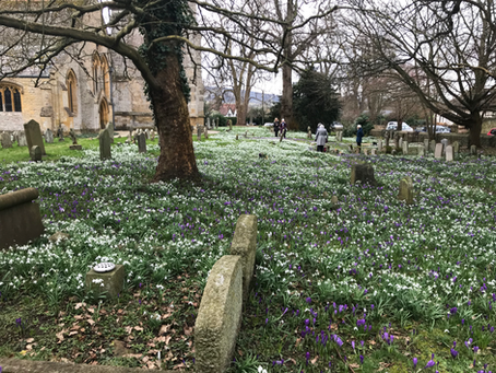 Spring in the Cotswolds Property Market