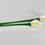 Thumbnail: Calla Lily