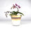 Thumbnail: Glimmer Planter