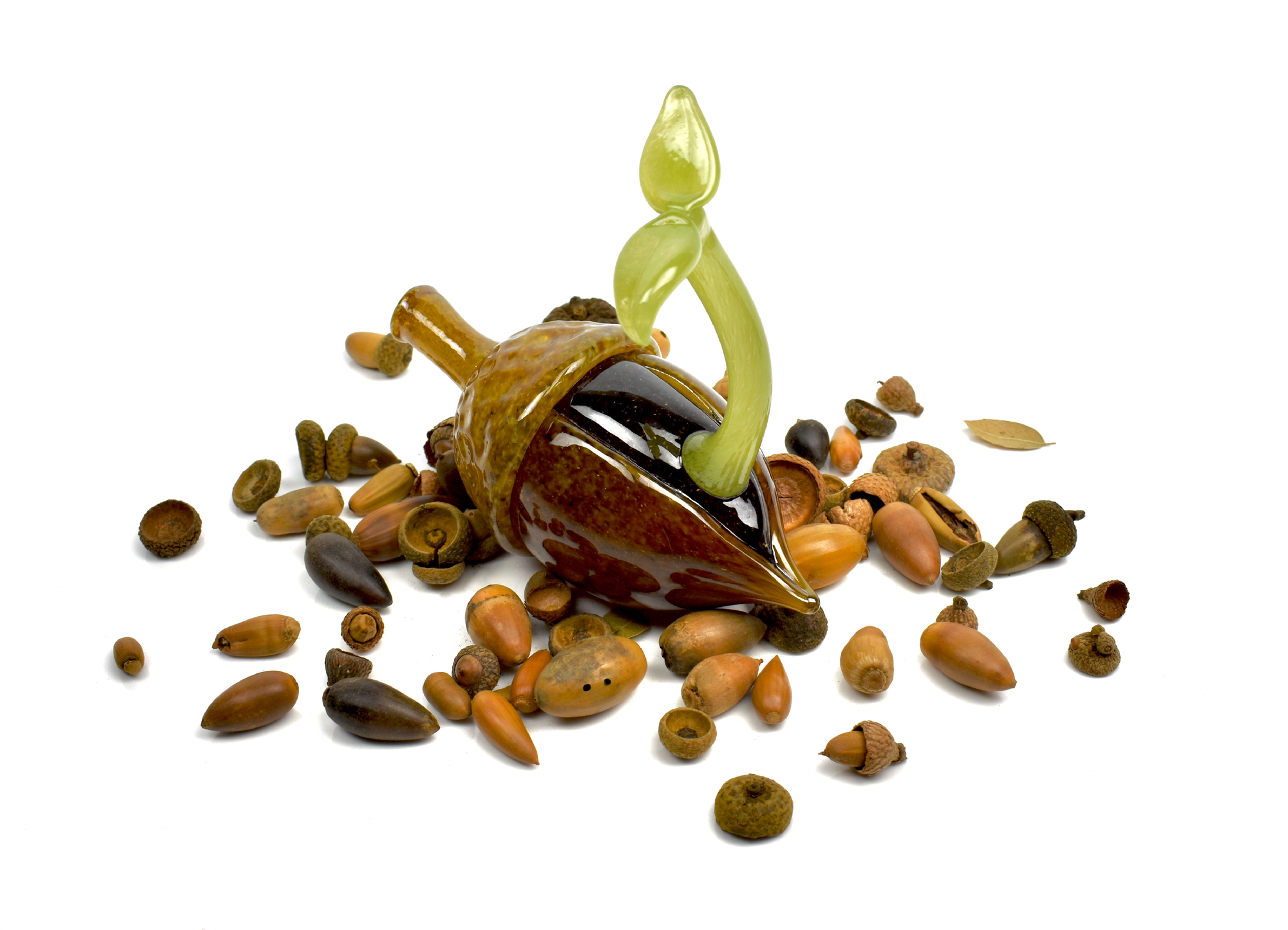 Glass Acorn Sprout